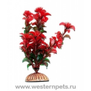 Растение "Тритон" 16 см. /1662/